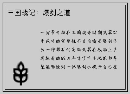 三国战记：爆剑之道